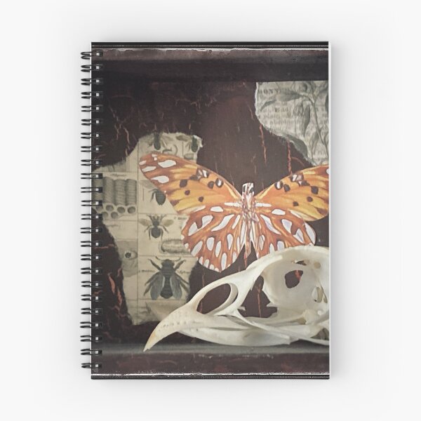 Item preview, Cabinet of Curiosities 11 designed and sold by Phoenix Artifex.