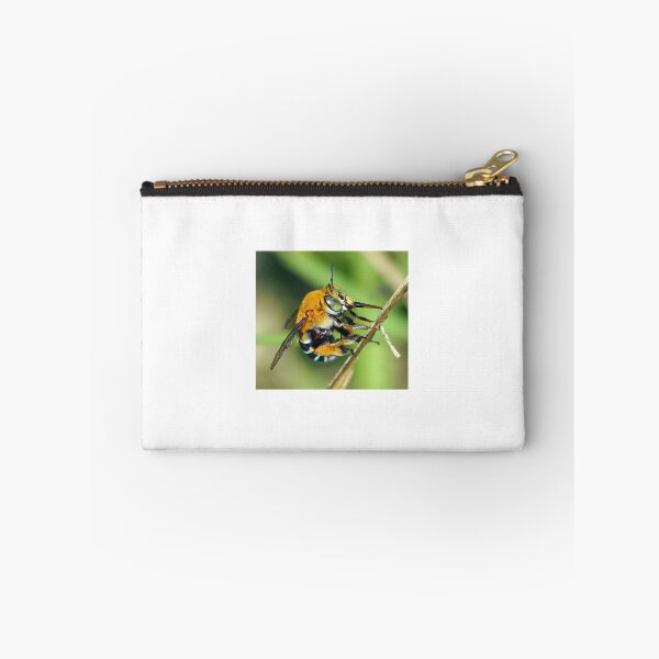 Item preview, Amegilla cingulata designed and sold by BeeBabette.