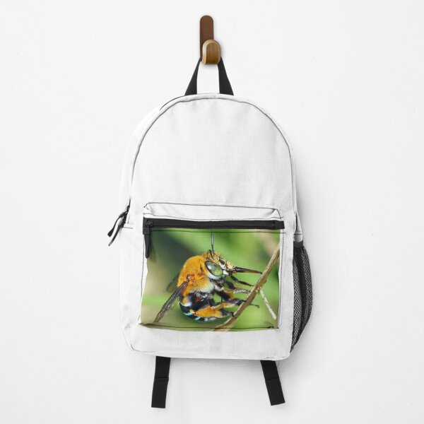 Item preview, Amegilla cingulata designed and sold by BeeBabette.