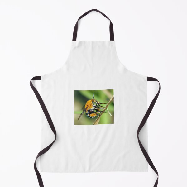 Item preview, Amegilla cingulata designed and sold by BeeBabette.