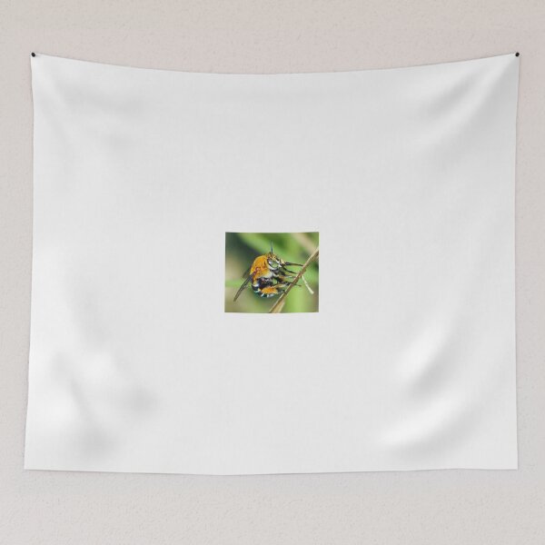 Item preview, Amegilla cingulata designed and sold by BeeBabette.
