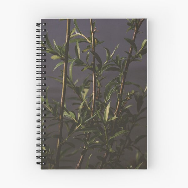 Item preview, Planta verde designed and sold by Semi97.