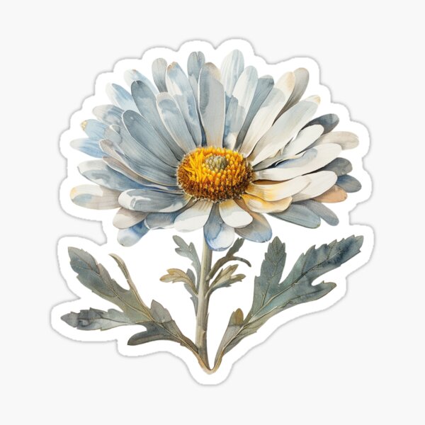 Item preview, Native Australian Flora, Flower, Paper Daisy (Xerochrysum) designed and sold by PapuruDesigns.