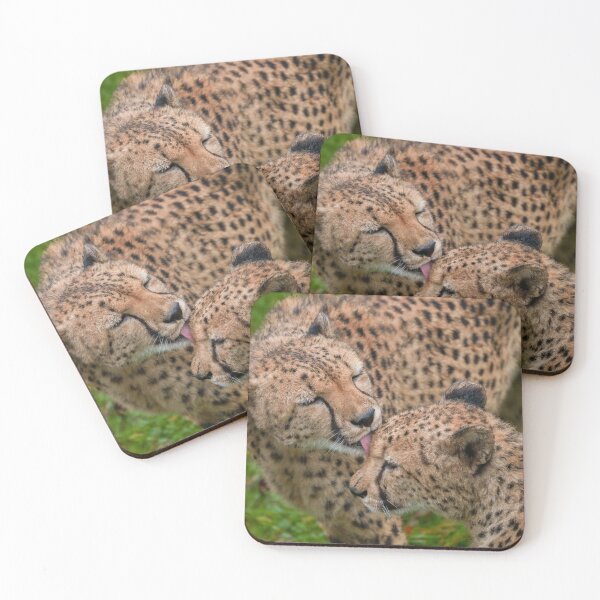 Item preview, Cheetah Affection Touching Displays of Love designed and sold by rawshutterbug.