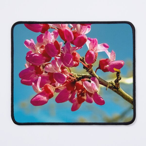 Item preview, Spring Redbuds designed and sold by Jess Reynolds.