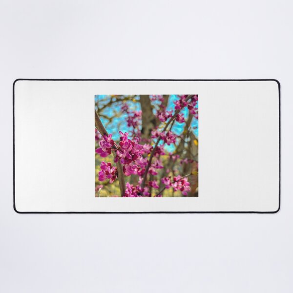 Item preview, Springtime Redbuds designed and sold by Jess Reynolds.