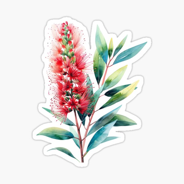 Item preview, Native Australian Flora, Flower, Bottlebrush (Callistemon) designed and sold by PapuruDesigns.