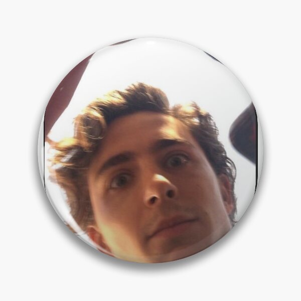 Item preview, Timothy chalamet designed and sold by dahliaminsk.