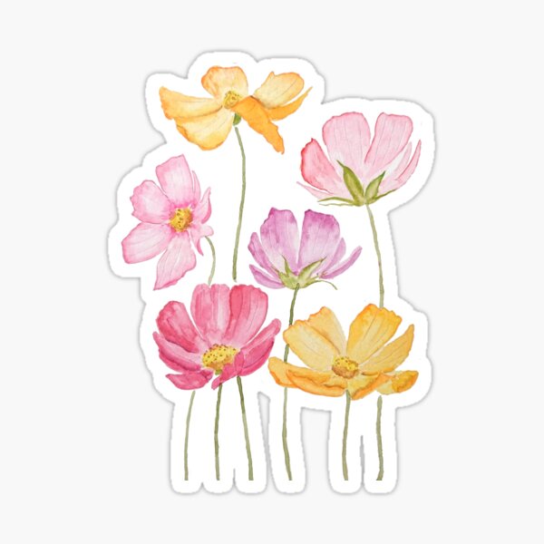 Item preview, hand painted colorful cosmos flowers designed and sold by ColorandColor.