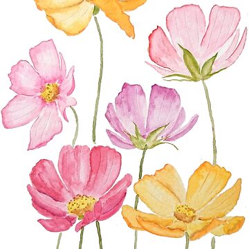 Artwork thumbnail, hand painted colorful cosmos flowers by ColorandColor