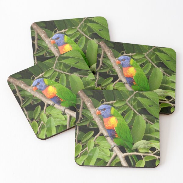 Item preview, Rainbow Lorikeet in the custard apple tree. designed and sold by Jenny  Dyer.