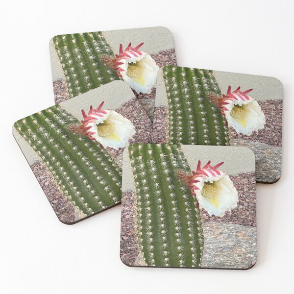 Item preview, Cactus Flower designed and sold by pinkyjainpan.