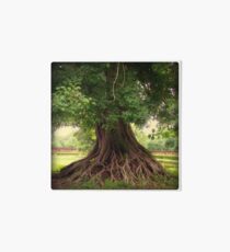 Roots 1/3 Art Board
