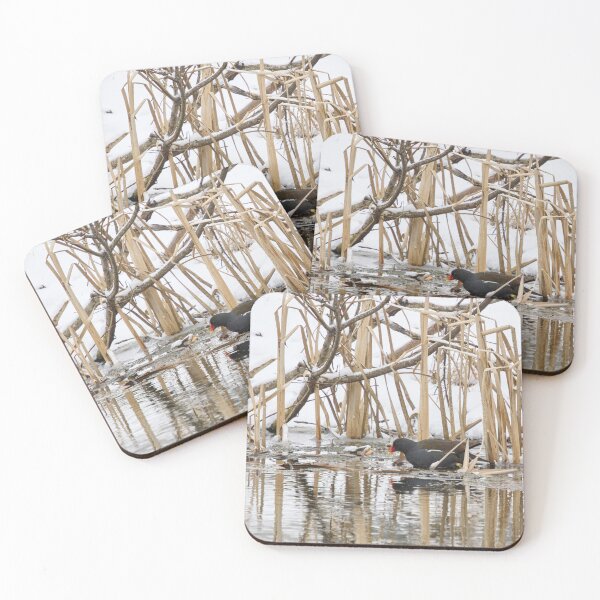 Item preview, The water is freezing. Moorhen designed and sold by Jouko Lehto Photography.