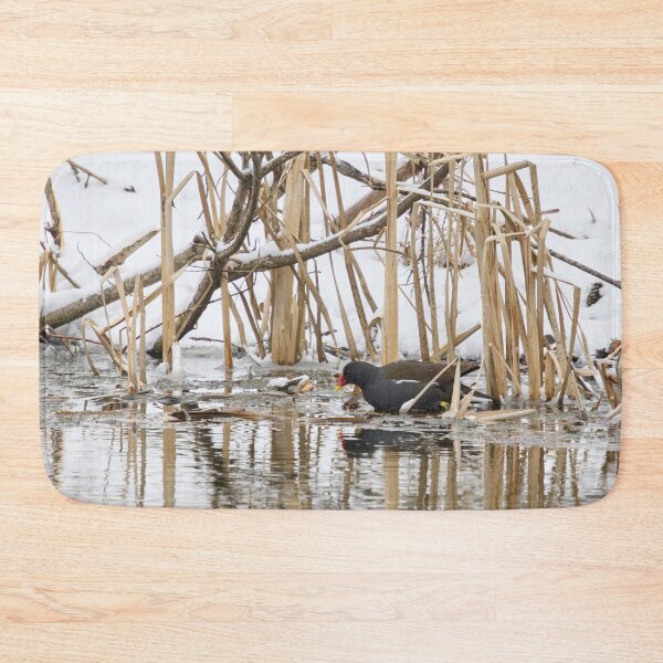 Item preview, The water is freezing. Moorhen designed and sold by Jouko Lehto Photography.