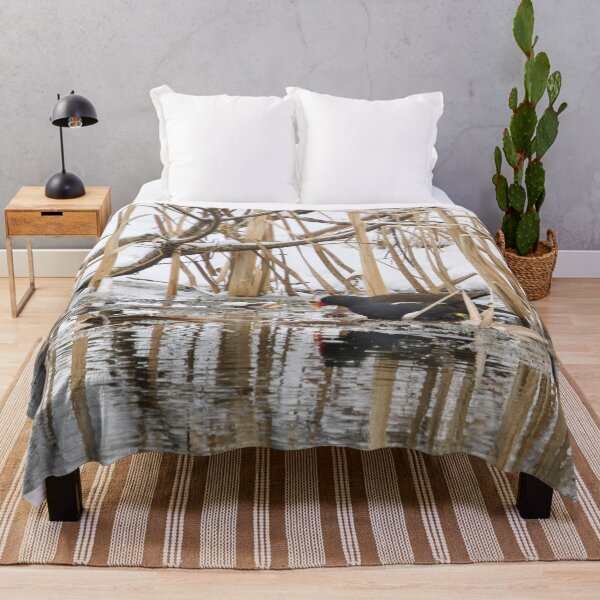 Item preview, The water is freezing. Moorhen designed and sold by Jouko Lehto Photography.