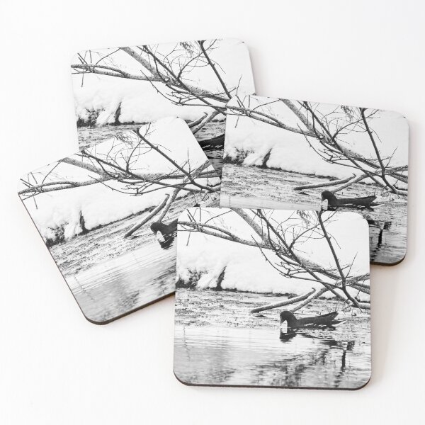 Item preview, Who ordered the snow and flood. Moorhen bw designed and sold by Jouko Lehto Photography.