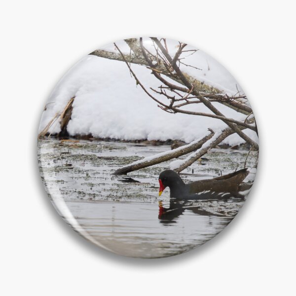 Item preview, Who ordered the snow and flood. Moorhen designed and sold by Jouko Lehto Photography.
