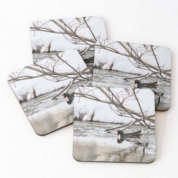 Item preview, Who ordered the snow and flood. Moorhen designed and sold by Jouko Lehto Photography.