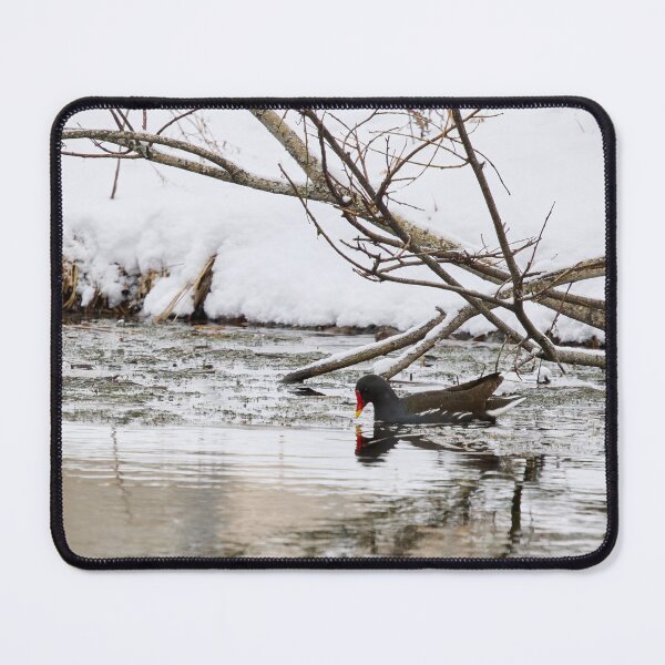 Item preview, Who ordered the snow and flood. Moorhen designed and sold by Jouko Lehto Photography.