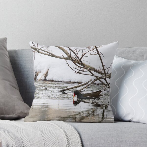 Item preview, Who ordered the snow and flood. Moorhen designed and sold by Jouko Lehto Photography.
