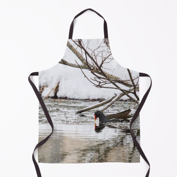 Item preview, Who ordered the snow and flood. Moorhen designed and sold by Jouko Lehto Photography.