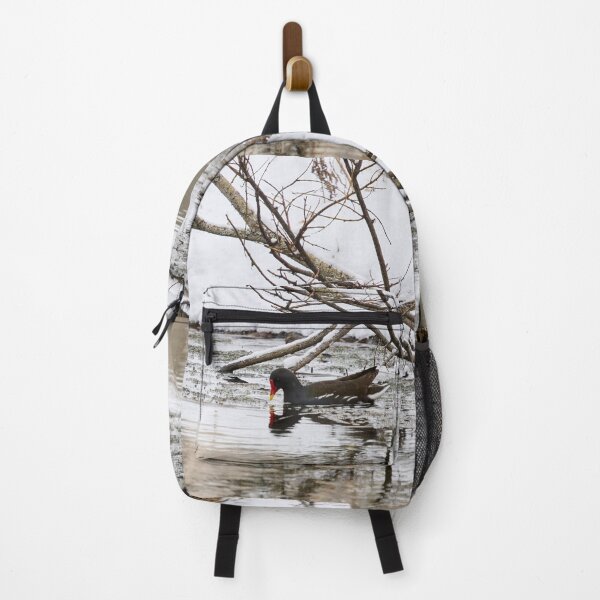 Item preview, Who ordered the snow and flood. Moorhen designed and sold by Jouko Lehto Photography.