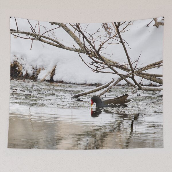 Item preview, Who ordered the snow and flood. Moorhen designed and sold by Jouko Lehto Photography.
