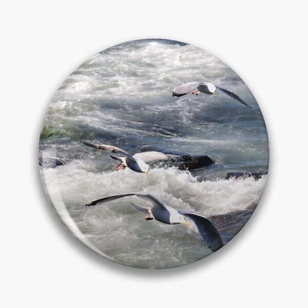 Item preview, Seagulls gliding along the Northumberland Coast designed and sold by Richard Flint.
