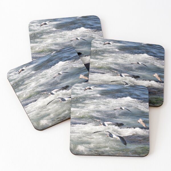 Item preview, Seagulls gliding along the Northumberland Coast designed and sold by Richard Flint.