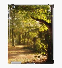 Autumn Trees iPad Case/Skin