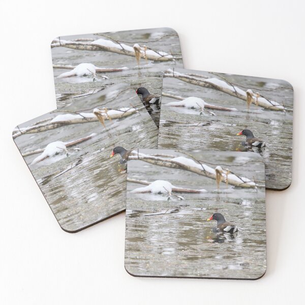 Item preview, Is it really April. Moorhen designed and sold by Jouko Lehto Photography.