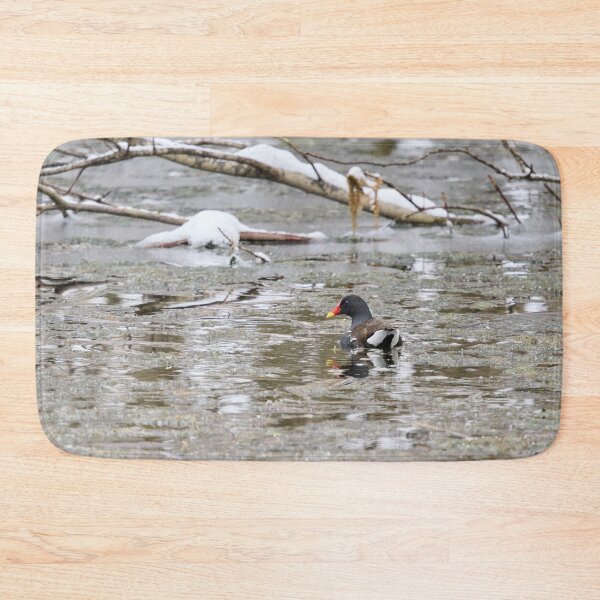 Item preview, Is it really April. Moorhen designed and sold by Jouko Lehto Photography.