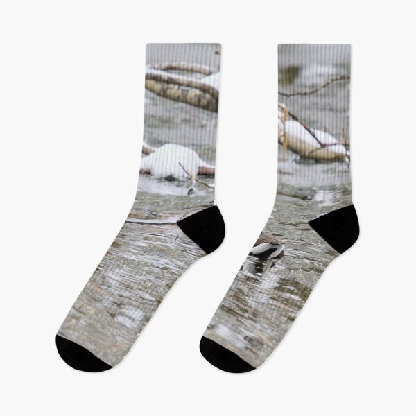 Item preview, Is it really April. Moorhen designed and sold by Jouko Lehto Photography.