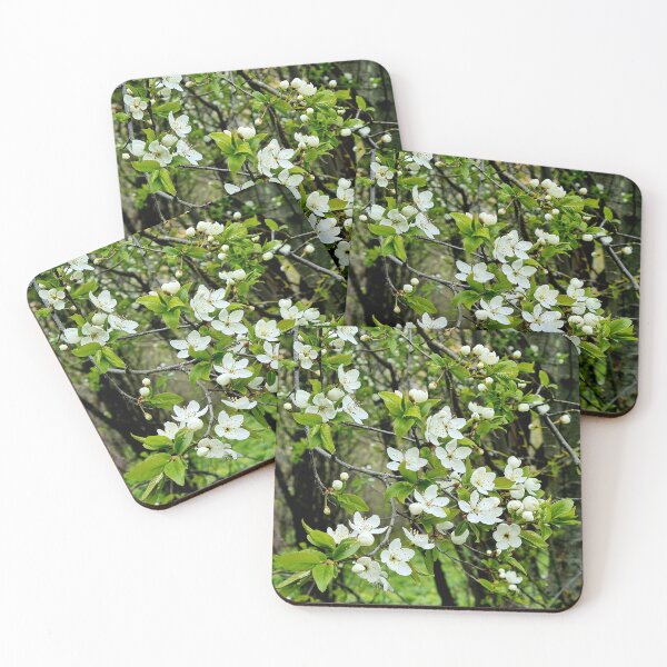 Item preview, Old garden cherry tree in May designed and sold by Bluesrose.