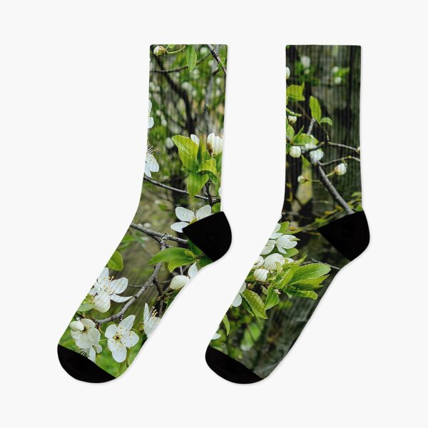 Item preview, Old garden cherry tree in May designed and sold by Bluesrose.
