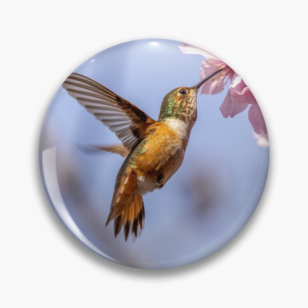 Item preview, Flight of the Hummingbird designed and sold by thelookoflife.