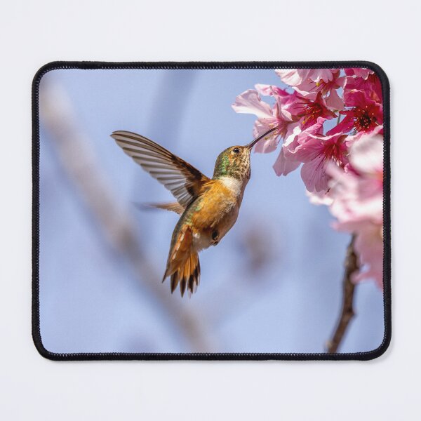 Item preview, Flight of the Hummingbird designed and sold by thelookoflife.