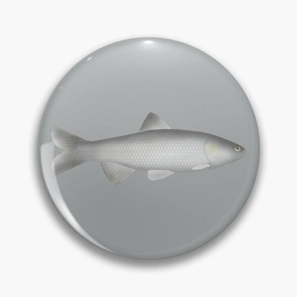 Item preview, Peloponnese Chub designed and sold by fishfolkart.