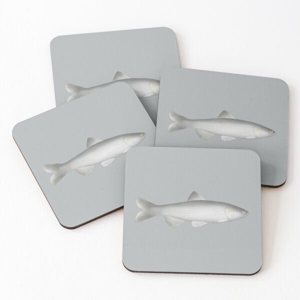Item preview, Peloponnese Chub designed and sold by fishfolkart.