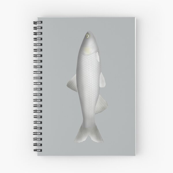Item preview, Peloponnese Chub designed and sold by fishfolkart.