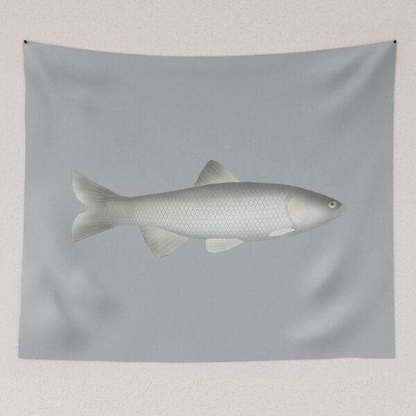 Item preview, Peloponnese Chub designed and sold by fishfolkart.
