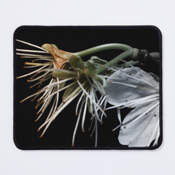 Item preview, Reaching  Out designed and sold by Alanjamesphoto.