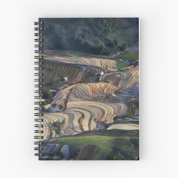 Item preview, Field Work designed and sold by Dawn van Doorn.