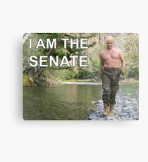 I am the senate Metal Print