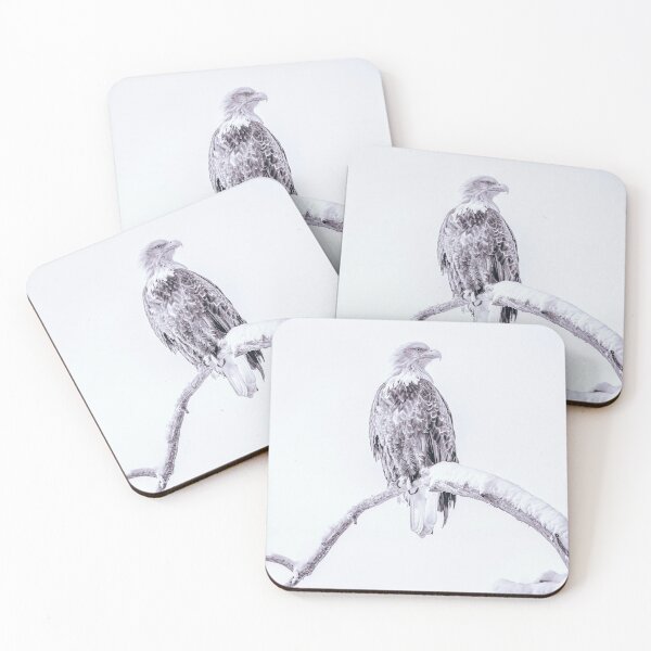 Item preview, High Key Bald Eagle Alaska designed and sold by PhotoArt by Joan Carroll.