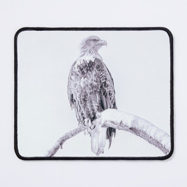 Item preview, High Key Bald Eagle Alaska designed and sold by PhotoArt by Joan Carroll.