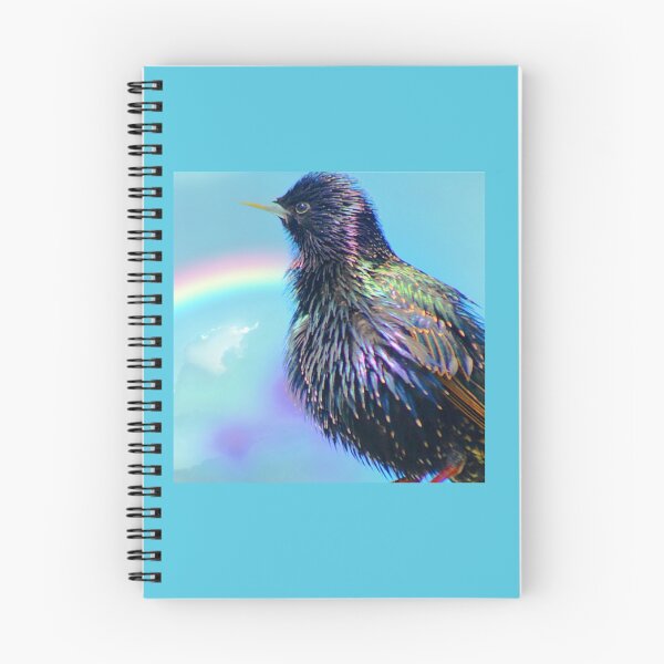 Item preview, Starling rainbow designed and sold by MadebymelissaUK.