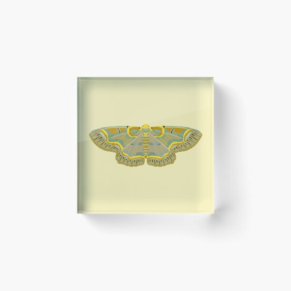 Item preview, Green Geometer Moth designed and sold by okaymoose.