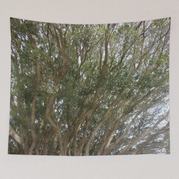 Item preview, TREE GREEN ECO STYLE DESIGN designed and sold by Tobyhuckels1991.